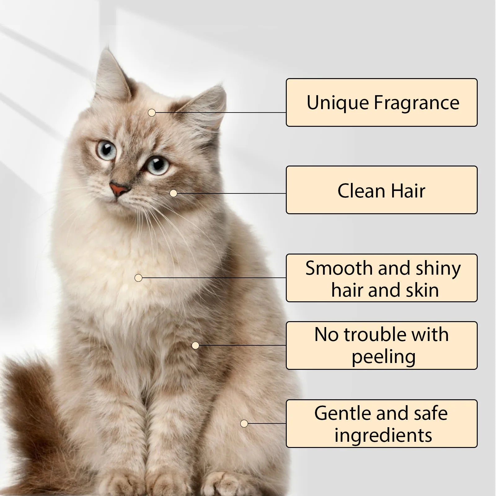 YEGBONG Pet Wash Shampoo & Conditioner for Dogs & Cats (Anti-Itch, Flea & Mite Control)