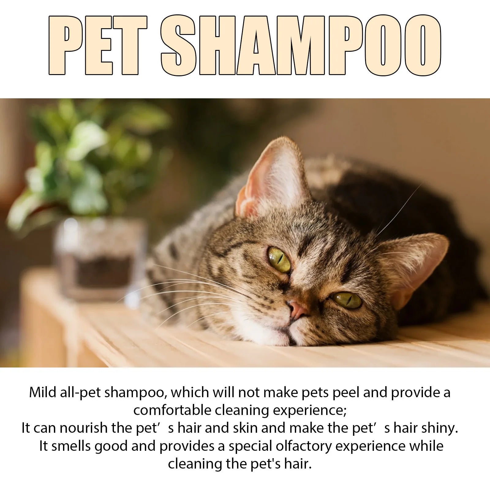 YEGBONG Pet Wash Shampoo & Conditioner for Dogs & Cats (Anti-Itch, Flea & Mite Control)