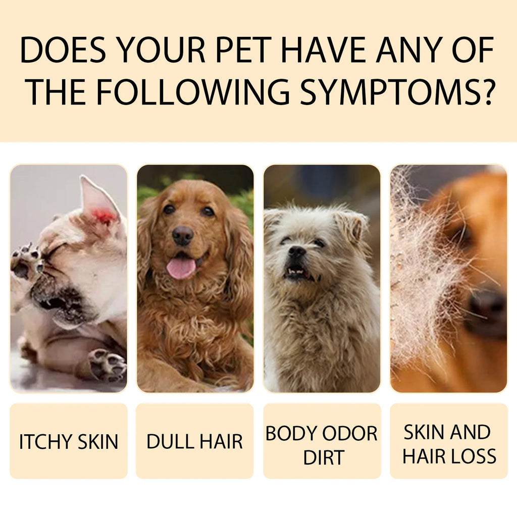YEGBONG Pet Wash Shampoo & Conditioner for Dogs & Cats (Anti-Itch, Flea & Mite Control)