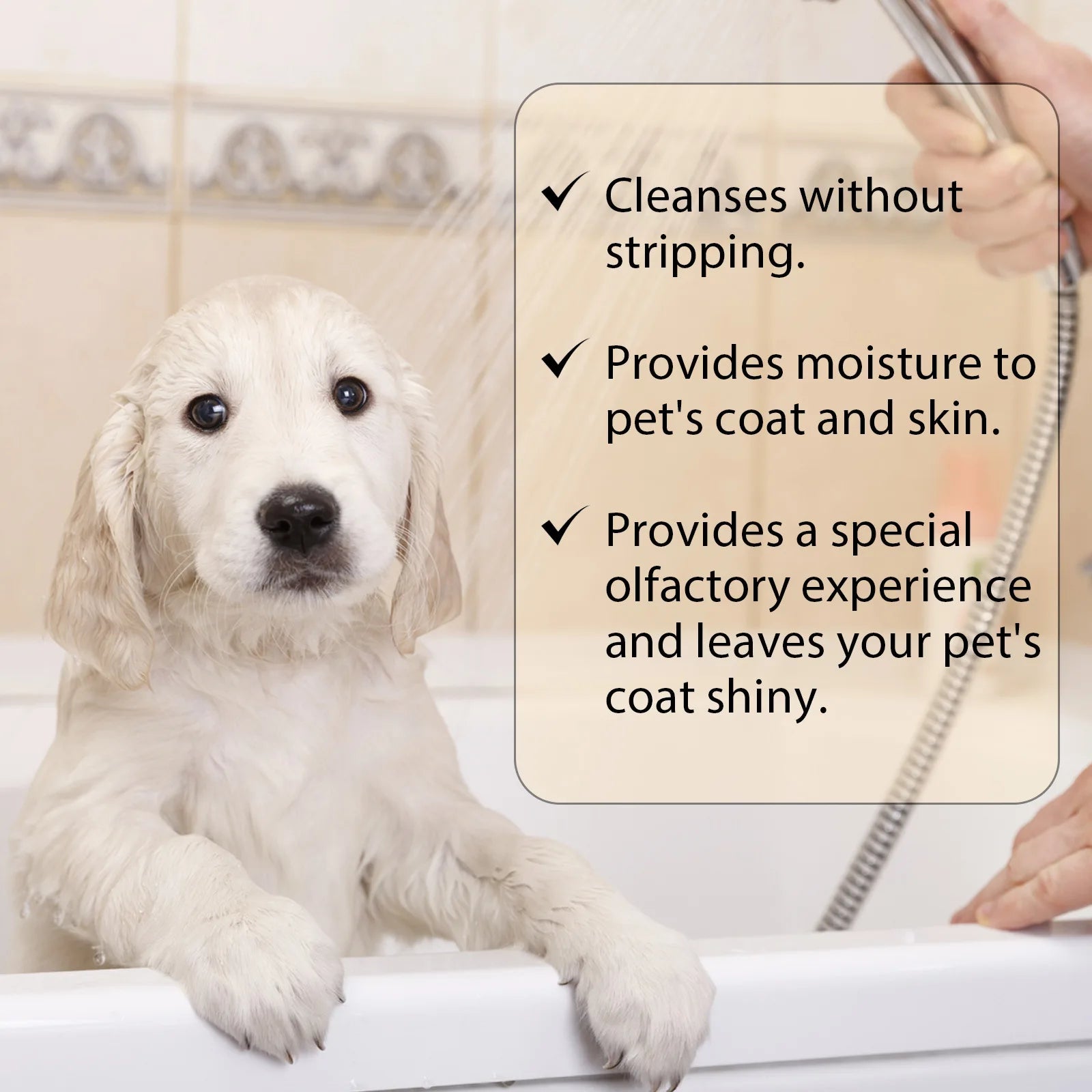 YEGBONG Pet Wash Shampoo & Conditioner for Dogs & Cats (Anti-Itch, Flea & Mite Control)