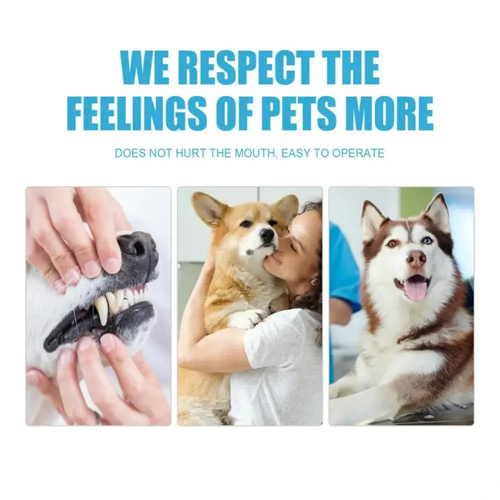 60g tube of Edible Pet Toothpaste for Dogs & Cats