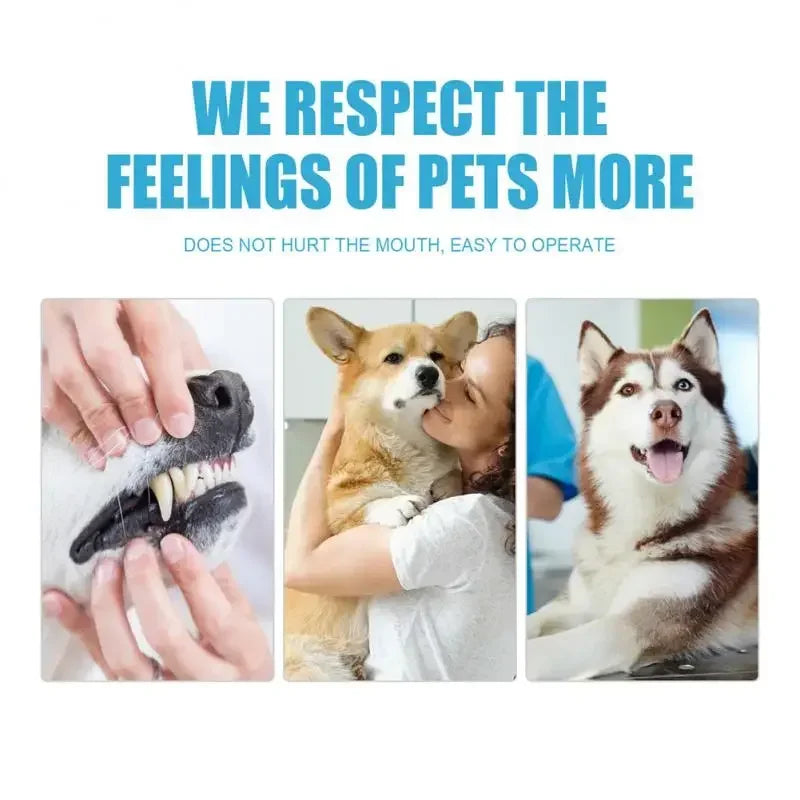 60g tube of Edible Pet Toothpaste for Dogs & Cats