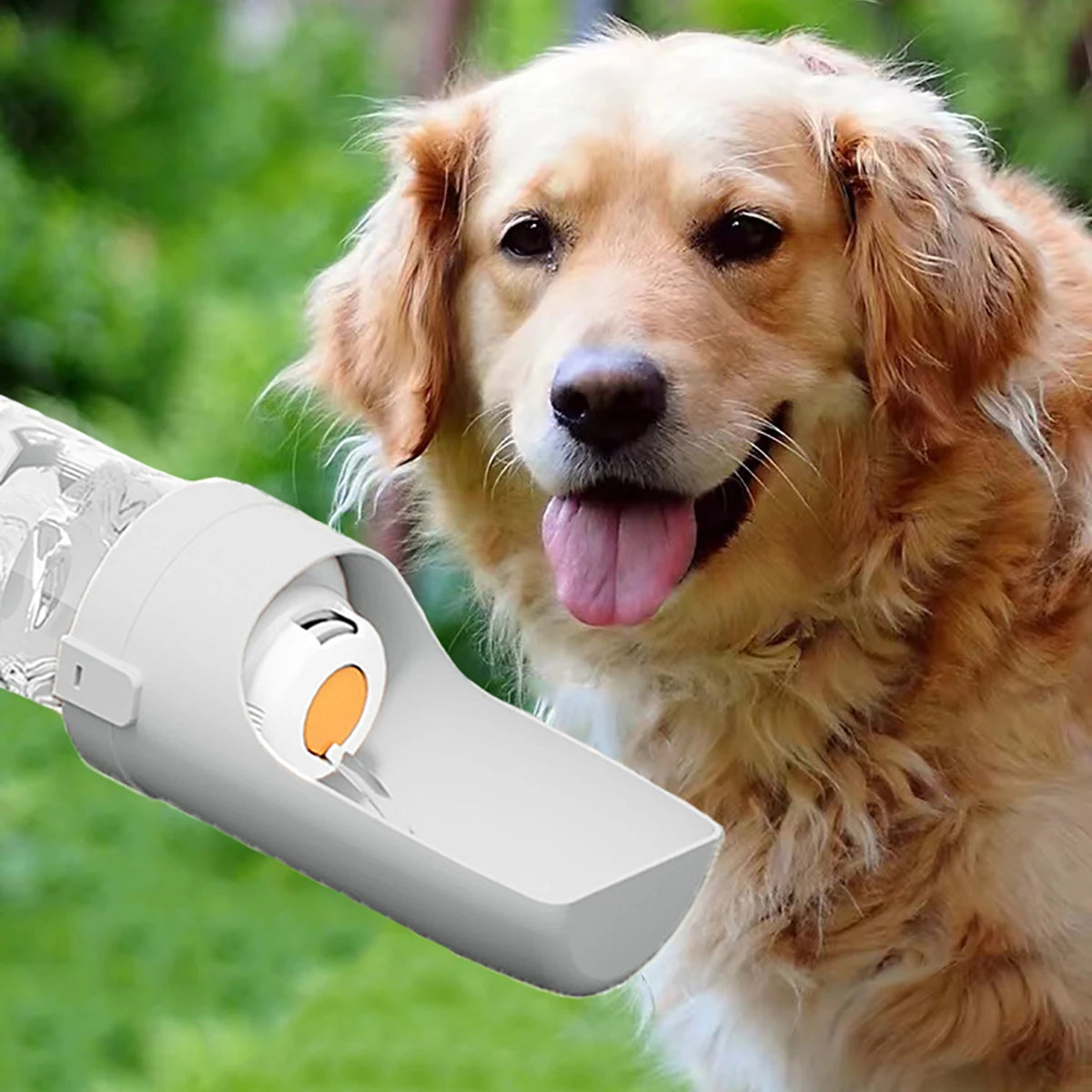 2-in-1 Portable Dog Water Bottle and Food Container