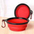 Compact Double Feeder for Dogs