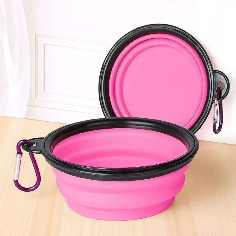 Compact Double Feeder for Dogs