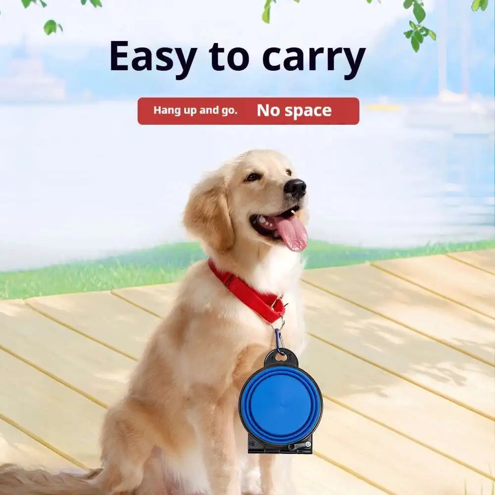 Compact Double Feeder for Dogs