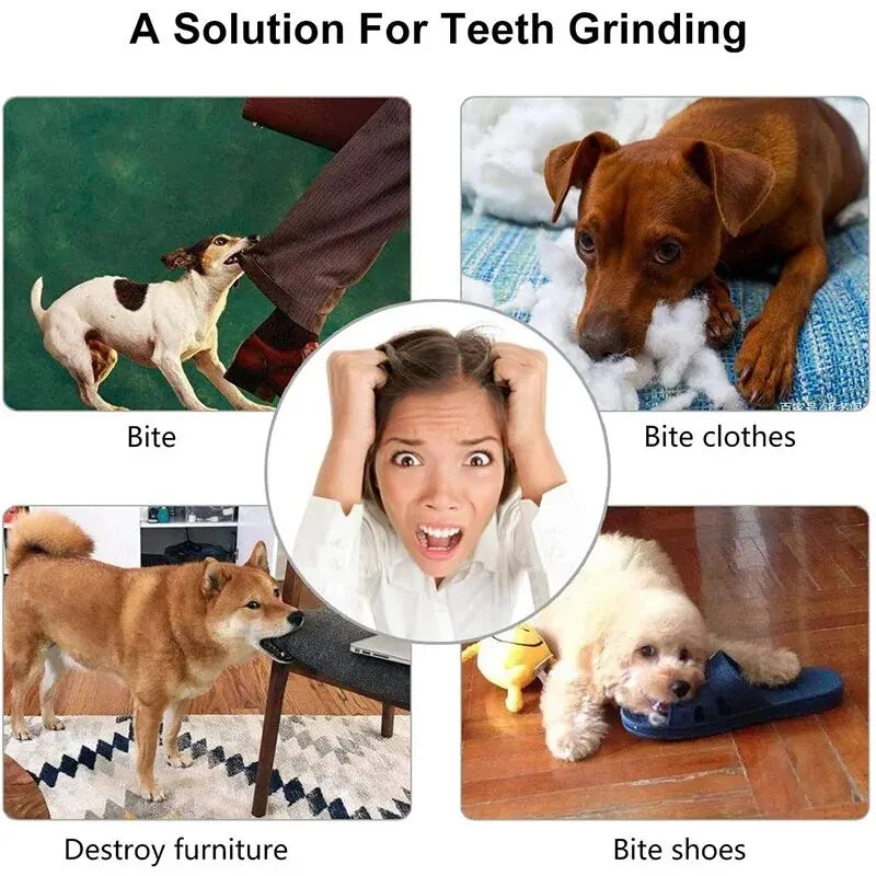 Nontoxic Rubber Dog Toy Ball - Chew Toy and Food Dispenser