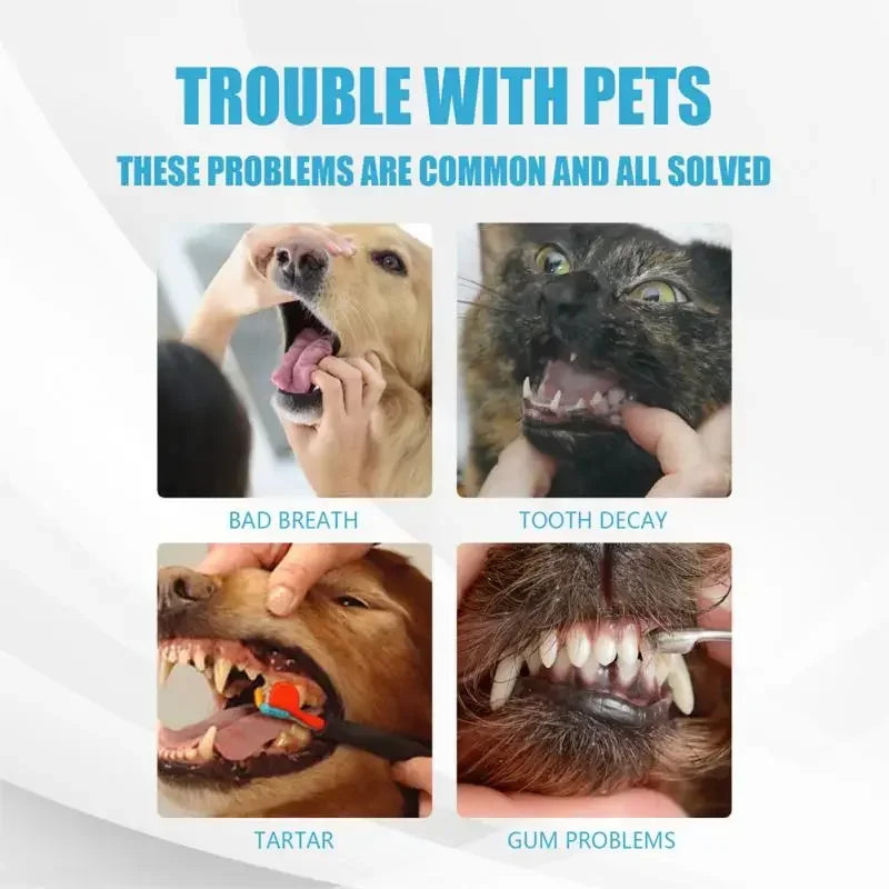 60g tube of Edible Pet Toothpaste for Dogs & Cats