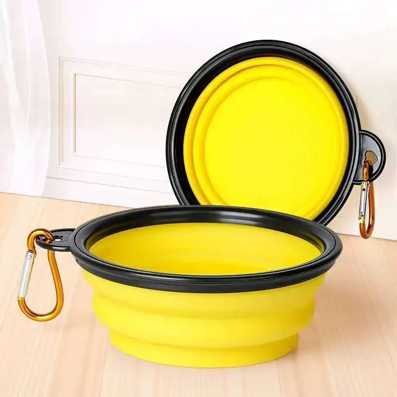Compact Double Feeder for Dogs
