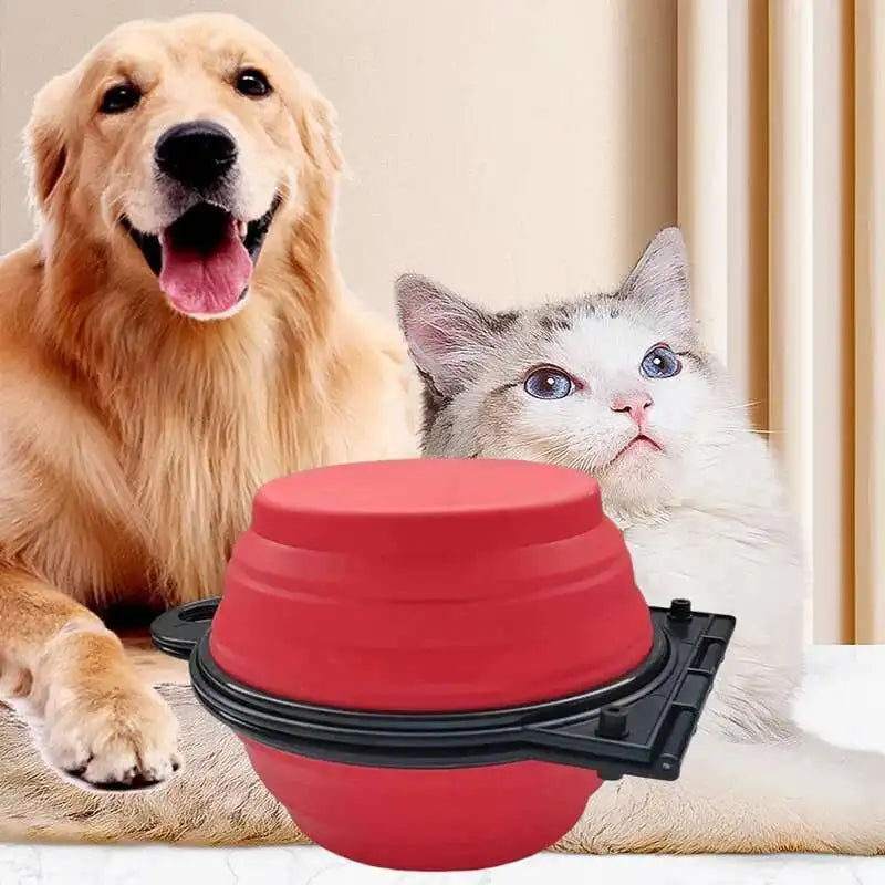 Compact Double Feeder for Dogs