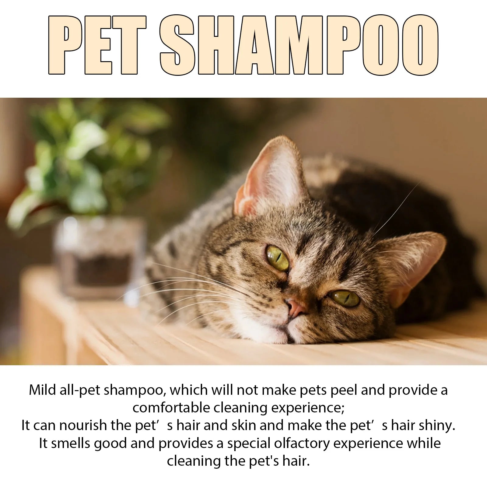 YEGBONG Pet Wash Shampoo & Conditioner for Dogs & Cats (Anti-Itch, Flea & Mite Control)